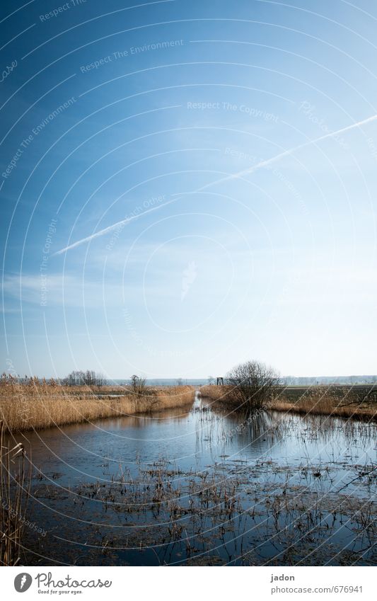 wasserreich. Angeln Abenteuer Ferne Landschaft Pflanze Wasser Himmel Horizont Frühling Schönes Wetter Feld Flussufer Bach Flüssigkeit nass blau ruhig Natur