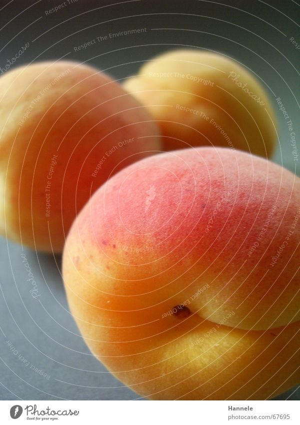 le pfirsich Pfirsich Sommer Abendessen Saft saftig süß 3 gelb rot weich Fell Ernährung Frucht orange Stein Lebensmittel