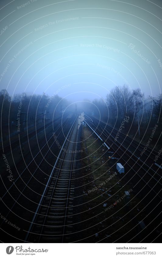 The Fog Pflanze Frühling Herbst schlechtes Wetter Nebel Baum Verkehr Verkehrswege Öffentlicher Personennahverkehr Güterverkehr & Logistik Bahnfahren