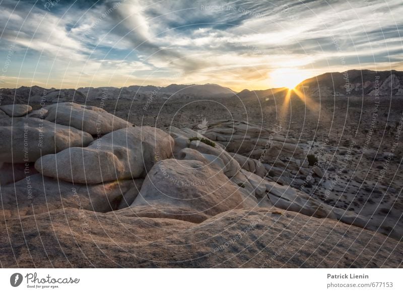 Desert Sunrise Ferien & Urlaub & Reisen Tourismus Ausflug Abenteuer Ferne Freiheit Expedition Sommer Umwelt Natur Landschaft Pflanze Urelemente Luft Himmel