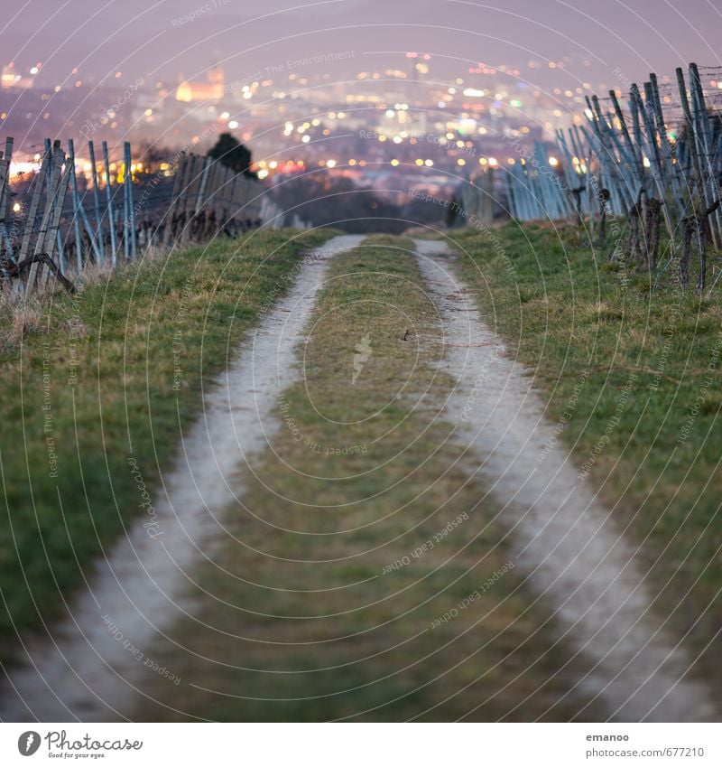 Der Weg in die Stadt Ferien & Urlaub & Reisen Ausflug Städtereise Berge u. Gebirge wandern Natur Landschaft Pflanze Gras Nutzpflanze Feld Hügel Stadtrand Haus