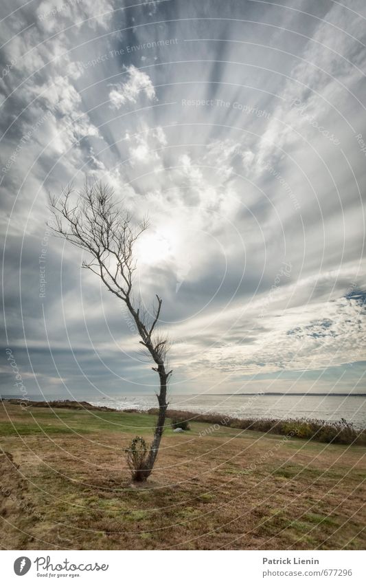 Steife Brise Umwelt Natur Landschaft Urelemente Luft Himmel Wolken Gewitterwolken Sonne Sonnenaufgang Sonnenuntergang Sonnenlicht Frühling Herbst Winter Klima