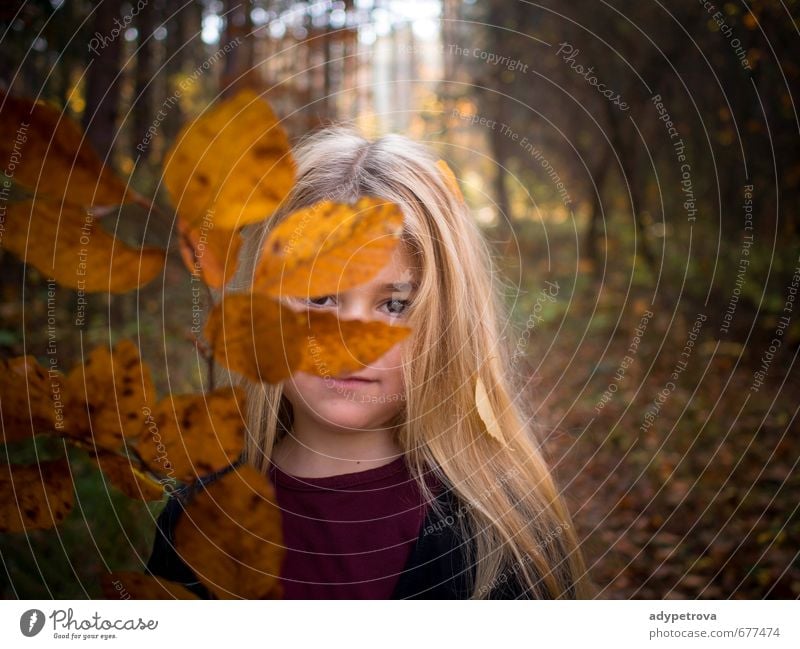 Herbst Mädchen Mensch Kind Körper Haut Kopf Haare & Frisuren Gesicht Auge 1 3-8 Jahre Kindheit Umwelt Natur Landschaft Pflanze Baum Gras Blatt Garten Park Wald