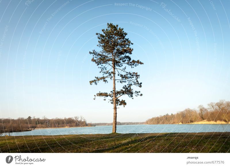 Bodenständig Freizeit & Hobby Ausflug Umwelt Natur Landschaft Urelemente Wolkenloser Himmel Horizont Frühling Sommer Klima Klimawandel Schönes Wetter Baum