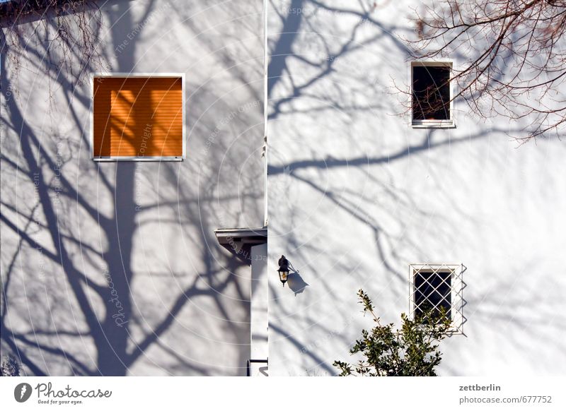 Baum (Schatten) Frühling Garten Haus Wohnhaus Gebäude Architektur Fassade Fenster Baumstamm Ast Zweig Wohngebiet Einfamilienhaus Etage Bauwerk Gitter Jalousie