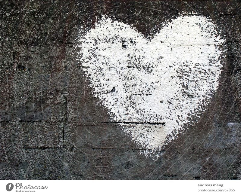 White Heart weiß grau Mauer Liebe Gefühle Romantik Herz heart white grey Stein stone alt Riss old cracks bricks feel romantic rocks young Zeichen sign