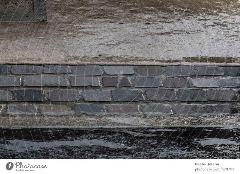 Wetter | die Haut braucht Feuchtigkeit schön Wellness Umwelt schlechtes Wetter Regen Stadt Stadtzentrum Menschenleer Straße Stein Wasser nass Sauberkeit braun