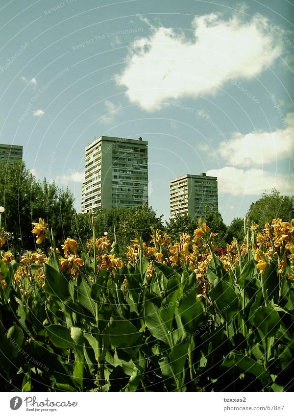 kaschieren auf bulgarisch Blume Park Haus Hochhaus Plattenbau verfallen trist Bulgarien Osten schäbig burgas DDR Traurigkeit