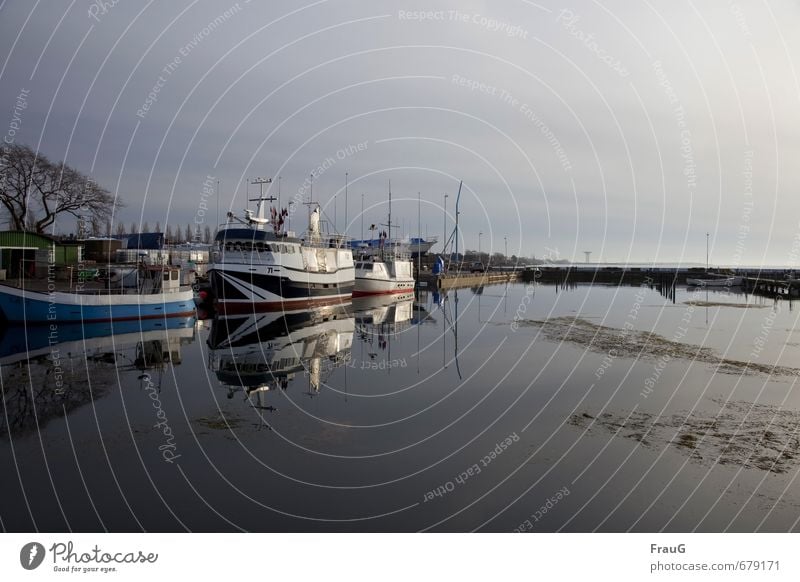 kleiner Hafen am Abend Ferien & Urlaub & Reisen Winter Wasser Baum Ostsee Meer Schifffahrt Fischerboot Motorboot Ferne Reflexion & Spiegelung ankern Farbstoff