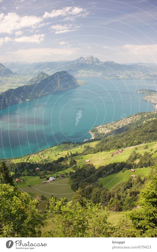 Idylle IV Umwelt Natur Landschaft Pflanze Luft Wasser Himmel Wolken Horizont Sonne Sonnenlicht Frühling Sommer Wetter Schönes Wetter Wärme Baum Gras Grünpflanze