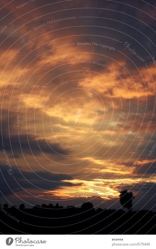 Abendglut Natur Landschaft Himmel Wolken Horizont Sonnenaufgang Sonnenuntergang Wetter Feld ästhetisch bedrohlich dunkel Kitsch blau gelb rot schwarz Stimmung