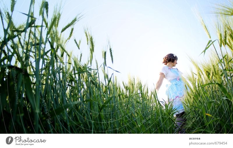 Tanz im Feld Mensch Junge Frau Jugendliche 1 18-30 Jahre Erwachsene Natur Himmel Sommer Schönes Wetter Pflanze Kleid Strümpfe brünett Locken genießen Spielen