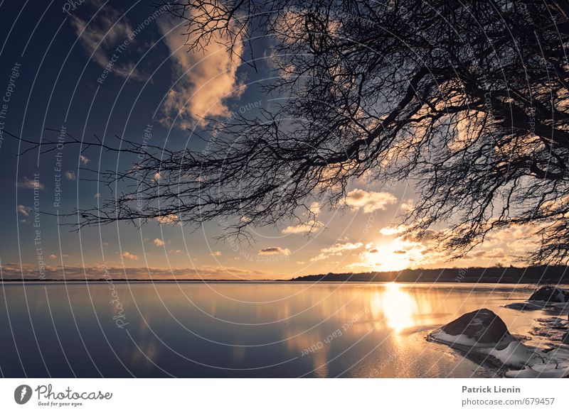 Trustom Pond Umwelt Natur Landschaft Pflanze Urelemente Erde Himmel Sonne Sonnenaufgang Sonnenuntergang Sonnenlicht Wetter Schönes Wetter Baum Küste Seeufer