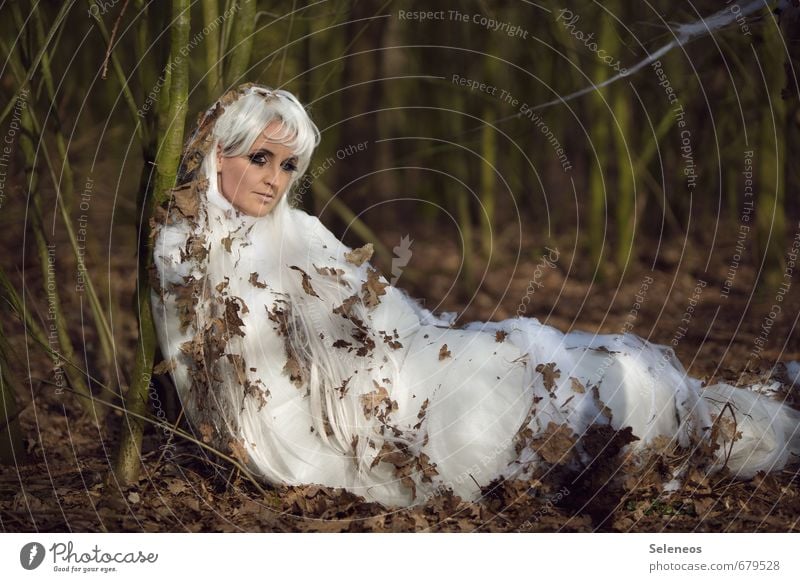 Winterschlaf Mensch feminin Frau Erwachsene 1 Umwelt Natur Herbst Blatt weißhaarig langhaarig Perücke Raupe Farbfoto Außenaufnahme Ganzkörperaufnahme