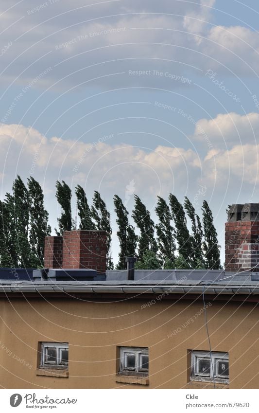 Wilhelmsburger Wind Energiewirtschaft Umwelt Natur Luft Himmel Wolken Klima Wetter Baum Hamburg-Wilhelmsburg Stadt Menschenleer Haus Mauer Wand Fassade Dach