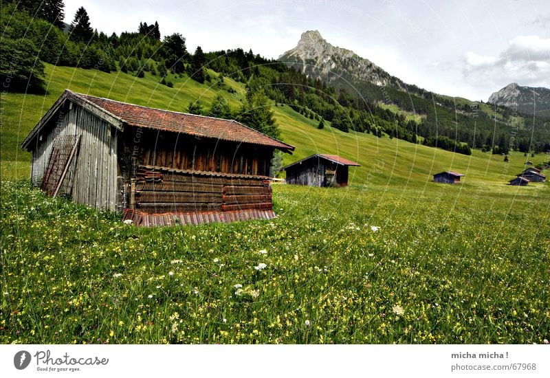 Hütten-Tour I Wiese Sommer Wald Wolken Gipfel Blumenwiese ruhig Ferien & Urlaub & Reisen Erholung grün Berge u. Gebirge Wetter