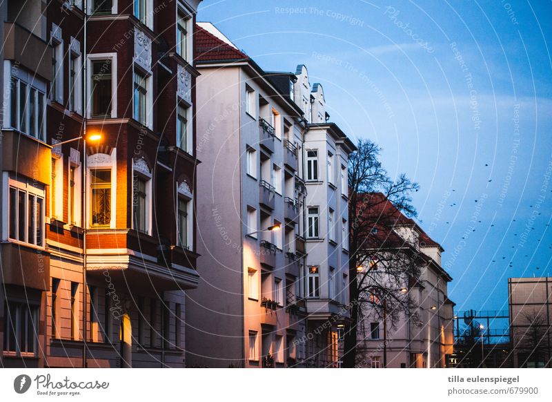 Abendsstimmung Stadt Menschenleer Haus Fassade ruhig Häuserzeile Wohnhaus Straßenbeleuchtung Himmel Vogel Fenster Erker Gebäude Leipzig verschlafen Farbfoto