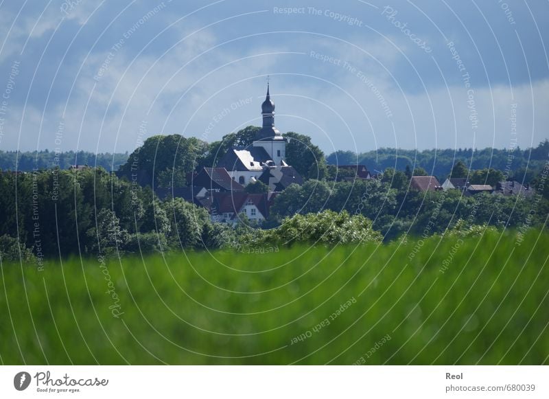 Blick auf die Kirche Geistlicher Natur Sommer Schönes Wetter Baum Gras Feld Bad Wünnenberg Kreis Paderborn Dorf Kleinstadt Skyline Menschenleer Haus Mauer Wand