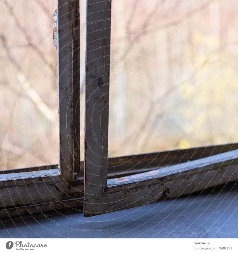 ut ruhrgebiet | auf. Umwelt Natur Baum Garten Park Industrieanlage Fabrik Ruine Bauwerk Gebäude Fenster Metall alt eckig Farbfoto Außenaufnahme Innenaufnahme