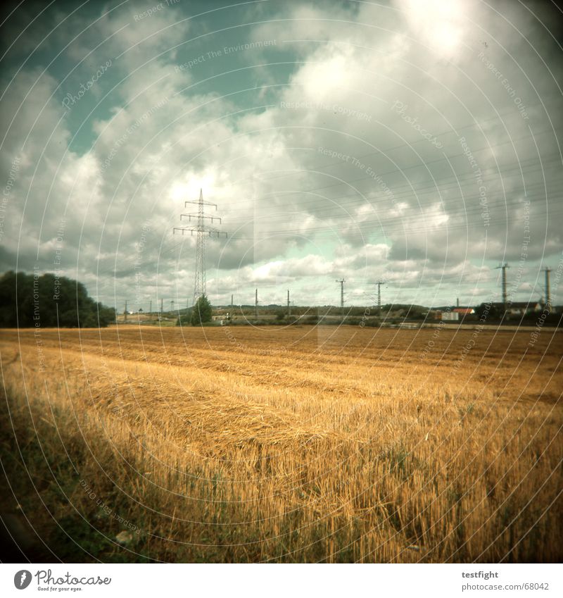 under the clouds Weizenfeld Roggen Holga under the bushes under the stars field of wheat woiza Landschaft landscape