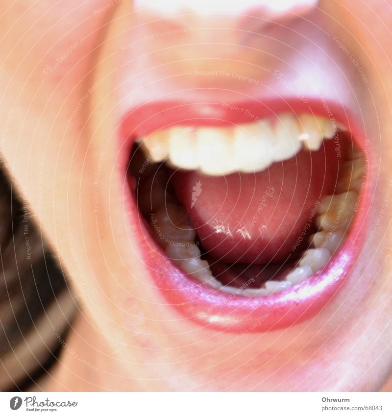 Sag mal A Wut laut Lippen glänzend rot Lippenstift weiß Frau singen Verzweiflung Aggression Innenaufnahme stur Zahnarzt schreien Ärger Gesundheit Gesicht lachen