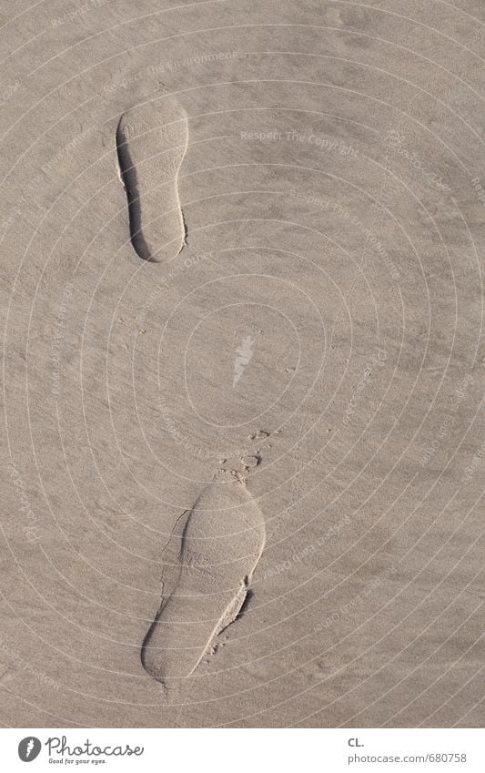 spuren Ferien & Urlaub & Reisen Tourismus Ausflug Abenteuer Freiheit Insel wandern Umwelt Natur Sand Küste Seeufer Flussufer Strand Nordsee gehen Beginn