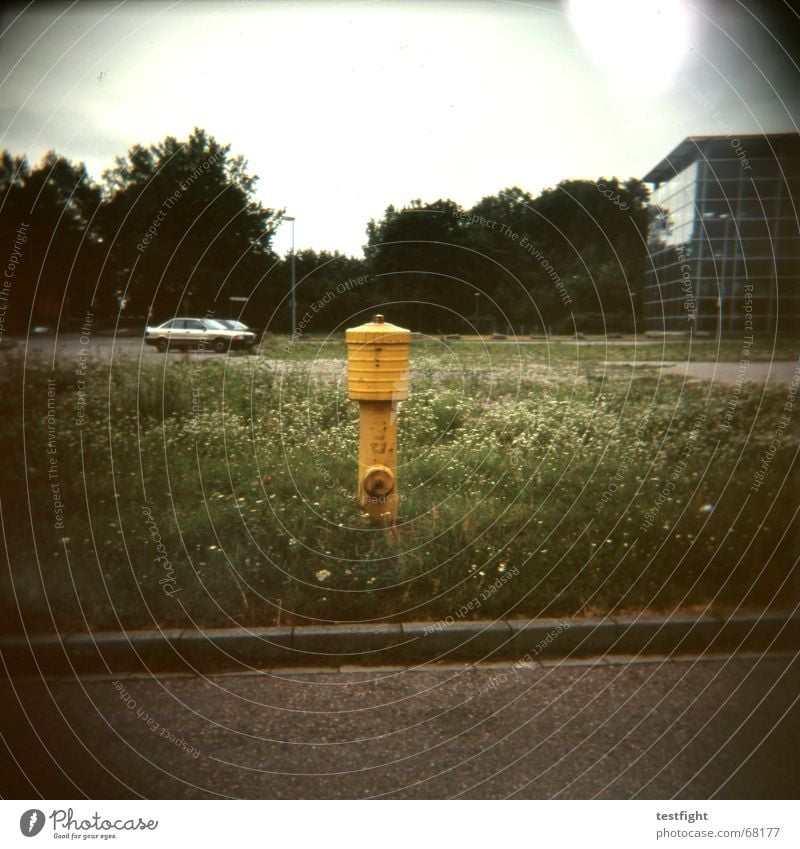 heavy trash gelb grün Beton Holga PKW Rasen Straße grass street car Lomografie