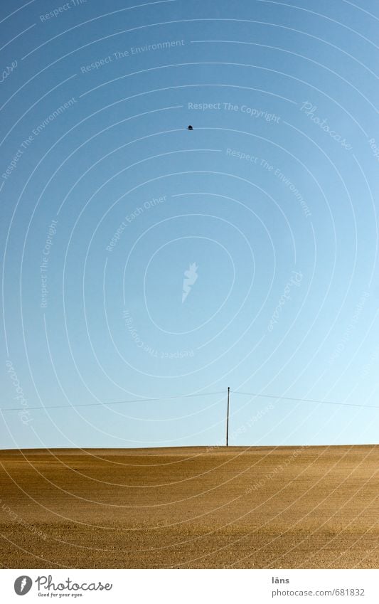 leere um mich Ferien & Urlaub & Reisen Energiewirtschaft Umwelt Natur Landschaft Erde Himmel Wolkenloser Himmel Horizont Schönes Wetter Feld Vogel einfach blau