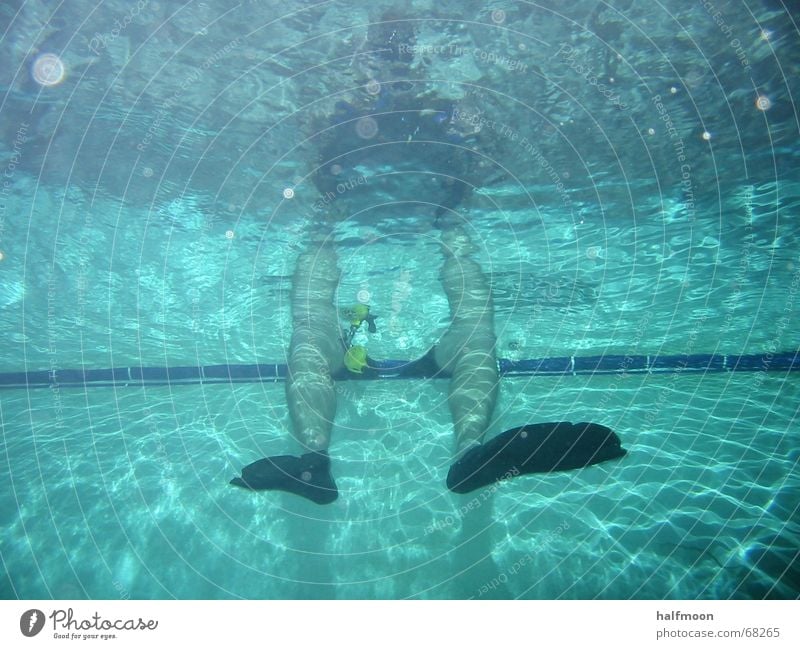 Froschbeine tauchen Ereignisse nass Physik kalt tief Tauchgerät Schwimmhalle aufregend Vielfältig Unterwasseraufnahme Freude Freiheit Wasser Wärme Klarheit