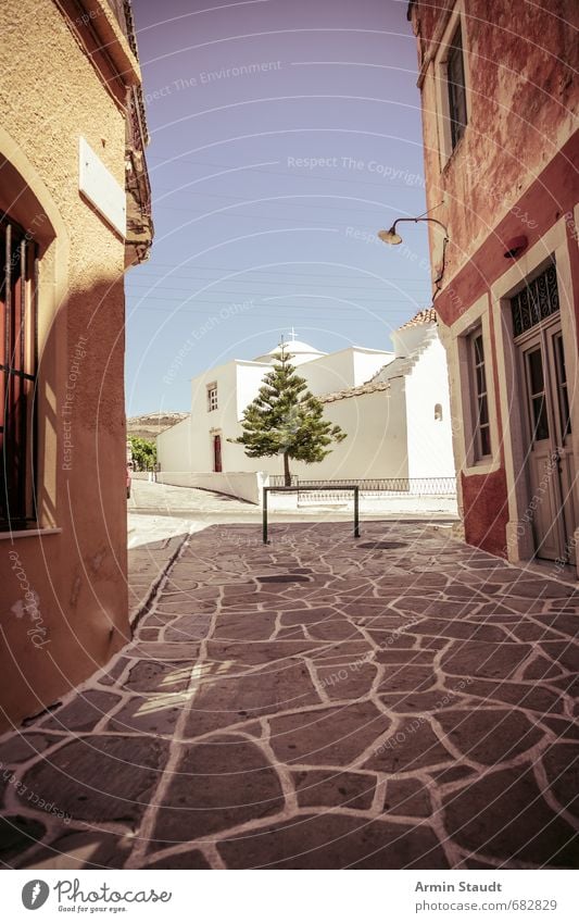 Mediterrane Szene mit exotischem Nadelbaum Ferien & Urlaub & Reisen Sommerurlaub Umwelt Wolkenloser Himmel Klima Schönes Wetter Baum Griechenland Dorf Altstadt