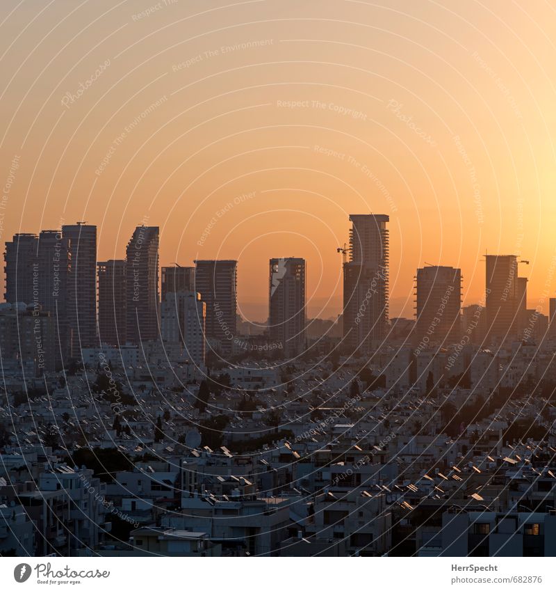 Boker tov, Tel Aviv Himmel Wolkenloser Himmel Schönes Wetter Israel Stadt Stadtzentrum Skyline Haus Hochhaus Architektur Fassade Balkon Dach grau orange Morgen