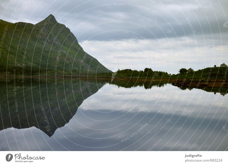 Lofoten Umwelt Natur Landschaft Urelemente Wasser Himmel Wolken Klima Felsen Fjord kalt natürlich wild Einsamkeit Idylle ruhig stagnierend Norwegen Farbfoto