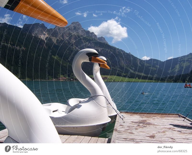 Schwanensee See Österreich Sonne Tretboot Steg Sommer Berge u. Gebirge