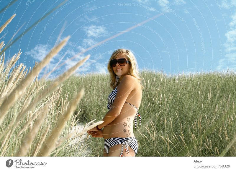 Good Bush Weizen Strand Ferien & Urlaub & Reisen Sommer Physik heiß Feld Frau schön Bikini blond Wachstum stehen Freundlichkeit süß Siebziger Jahre Oldtimer