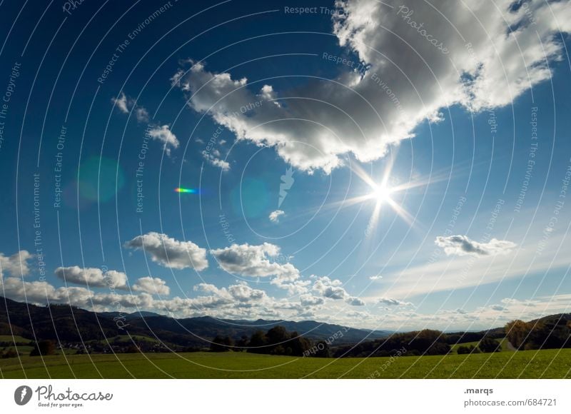 Rheintal Tourismus Ausflug Sommer Natur Landschaft Himmel Wolken Sonne Klima Schönes Wetter Pflanze Wiese Erholung Stimmung Zufriedenheit Umwelt Farbfoto