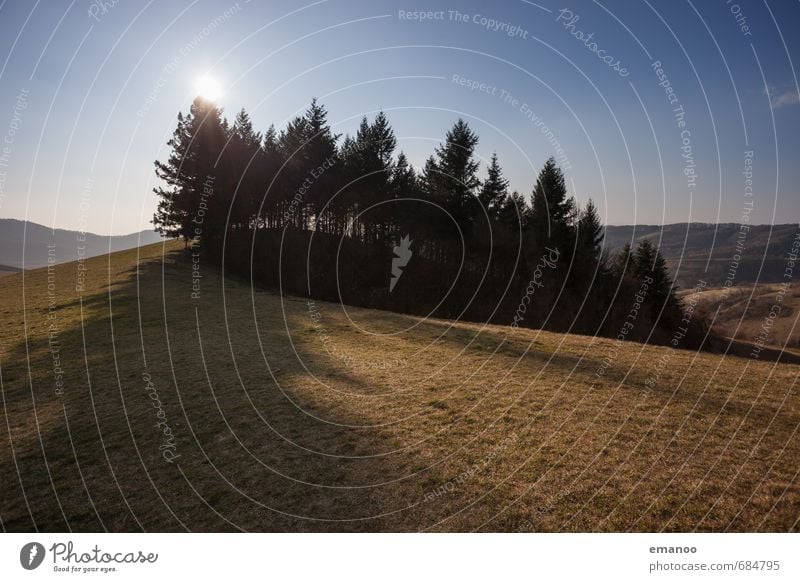 Das Wäldchen auf dem Kaiserstuhl Ferien & Urlaub & Reisen Tourismus Ausflug Berge u. Gebirge wandern Natur Landschaft Pflanze Himmel Sonne Klima Wetter