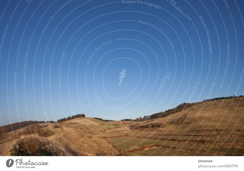 Kaiserstuhl in der Trockenzeit Ferien & Urlaub & Reisen Tourismus Ausflug Ferne Berge u. Gebirge wandern Natur Landschaft Pflanze Himmel Horizont Sommer Klima