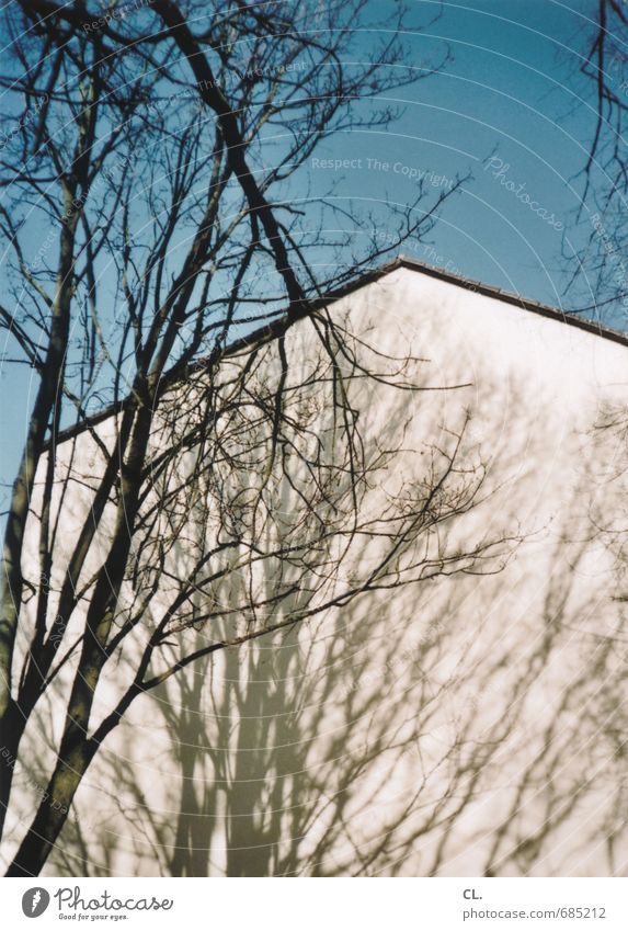 schattenhaus Umwelt Natur Himmel Wolkenloser Himmel Schönes Wetter Baum Garten Park Haus Einfamilienhaus Mauer Wand Häusliches Leben Ast Schattenspiel Wachstum