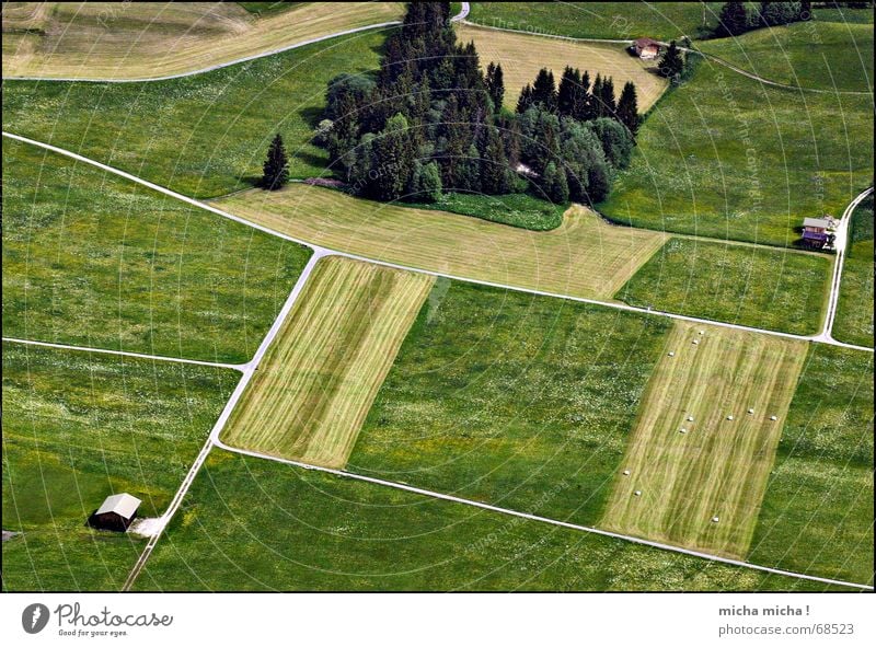 von oben betrachtet ... Feld Wiese Baum Wege & Pfade Vogelperspektive klein übersichtlich Hütte Netz