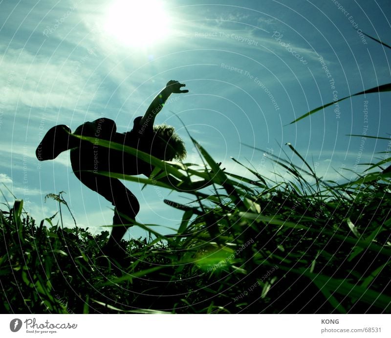 einfach mal fallen lassen. Gegenlicht springen Schweben Gras Wiese grün Hongkong Halm Himmel Luftverkehr fliegen Natur hippi fly flight blau Dynamik Bewegung