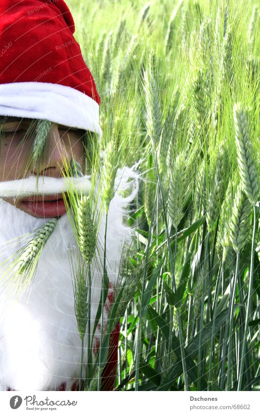 KLAUS WIRD EINS Weihnachtsmann Dezember Winter Feld Gruß Hallo Baum gestikulieren Pirsch Indianer Bart Mütze Stengel Wut schreien Verzweiflung verfehlen Wolken