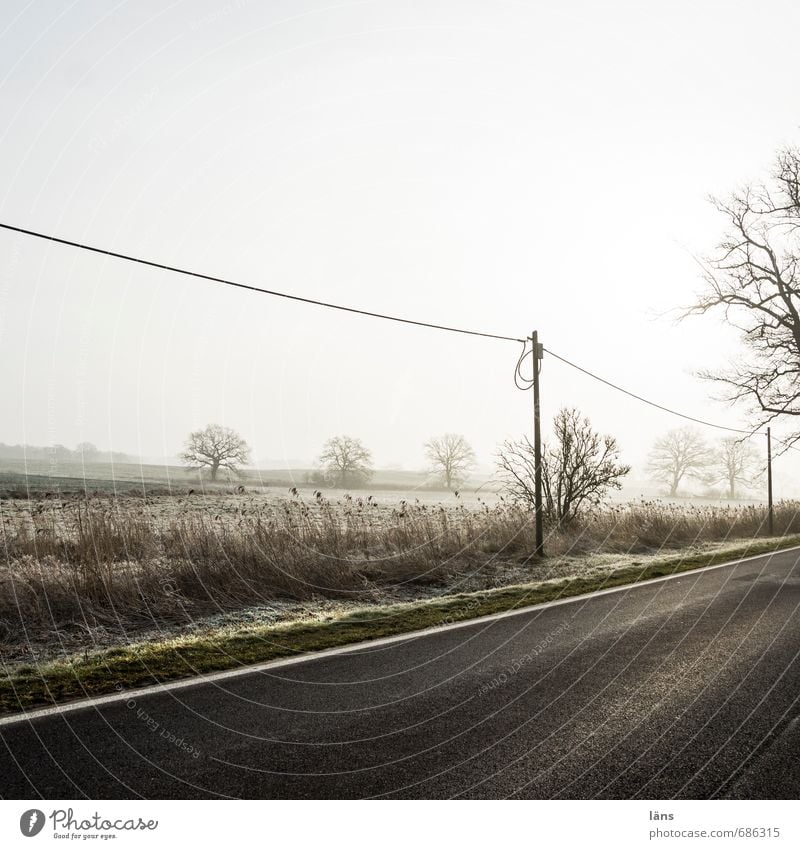 Wetter l Frühdunst Umwelt Natur Landschaft Himmel Nebel Baum Feld Verkehr Verkehrswege Straße Wege & Pfade grau Beginn Ferien & Urlaub & Reisen Asphalt Dunst