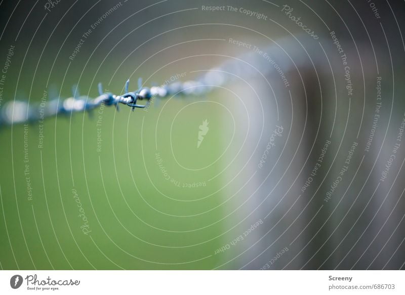 Tut weh... Zaun Stacheldraht Holz Metall bedrohlich braun grau grün Sicherheit Schutz zurückhalten Schmerz Angst gefährlich Aggression Freiheit Frustration