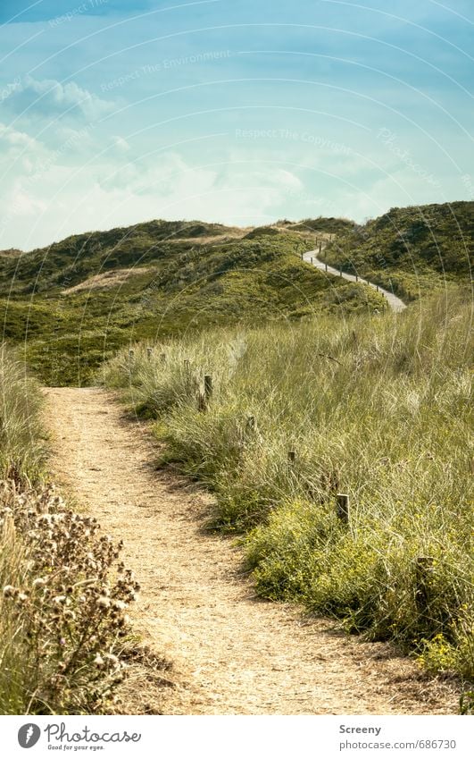 Nordsee | Zu Lande... Ferien & Urlaub & Reisen Tourismus Ausflug Sommer Sommerurlaub Insel Natur Landschaft Pflanze Himmel Wolken Gras Sträucher Düne blau braun