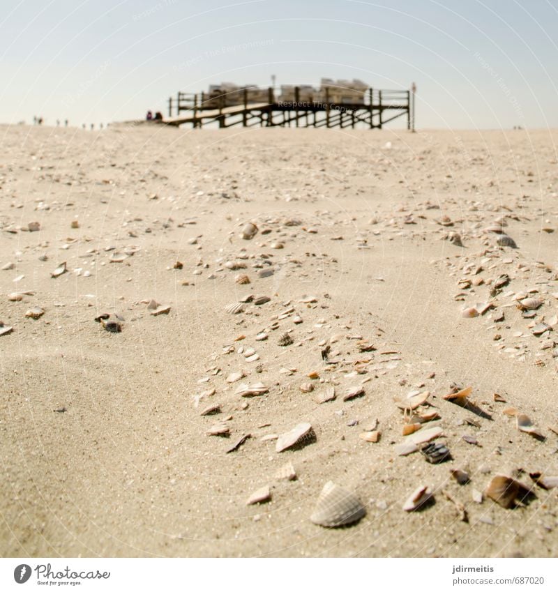 beach Ferien & Urlaub & Reisen Tourismus Sommer Sommerurlaub Sonne Strand Meer Natur Landschaft Sand Schönes Wetter Küste Nordsee Erholung Strandkorb Muschel