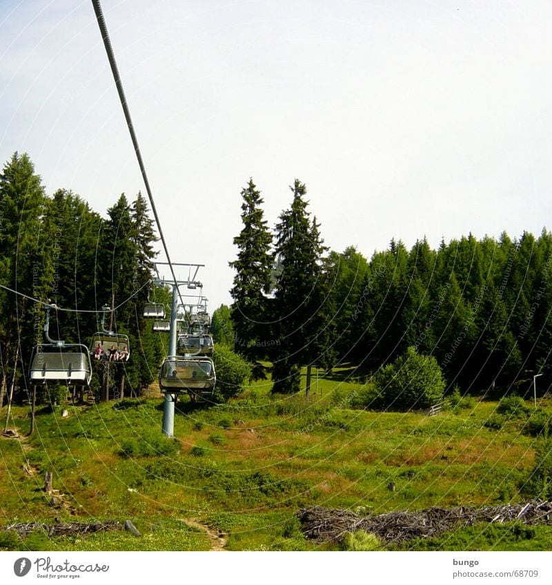 florum aura Ferien & Urlaub & Reisen Hügel Wiese grün Baum Fichte Österreich Seilbahn Sesselbahn Natur schön ruhig Erholung Berge u. Gebirge Perspektive frei