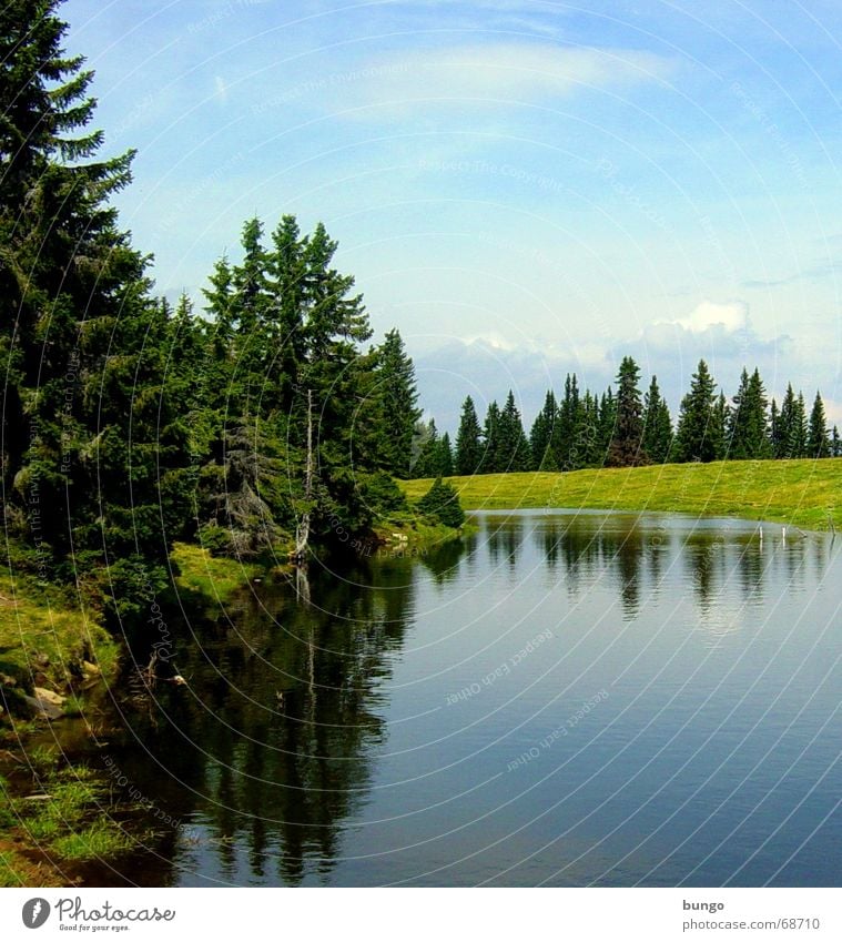 luna melitina Ferien & Urlaub & Reisen Hügel Gipfel Unendlichkeit Einsamkeit Sehnsucht wandern Bergsteigen Wiese grün Baum Wald Fichte Österreich Teich See