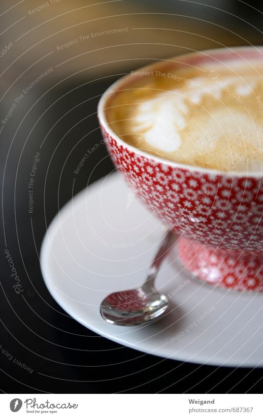 Blümchenwunder Ernährung Frühstück Mittagessen Kaffeetrinken Vegetarische Ernährung Milch Latte Macchiato Tasse Wohnung Erholung rot Geborgenheit achtsam