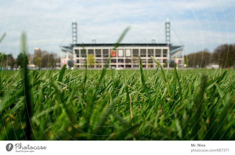 Pilgerstätte Ballsport Sportstätten Fußballplatz Stadion Umwelt Natur Himmel Gras Wiese Bauwerk grün Bundesliga Sportveranstaltung Flutlicht Halm