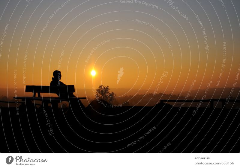 Wintersonne Freiheit Mensch maskulin Mann Erwachsene 1 Landschaft Himmel Sonne Sonnenaufgang Sonnenuntergang Sonnenlicht Schönes Wetter Hügel Erholung Blick